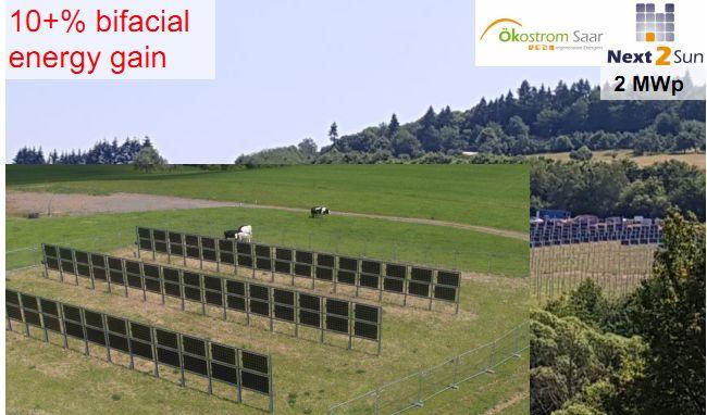 beepress7-1546347114