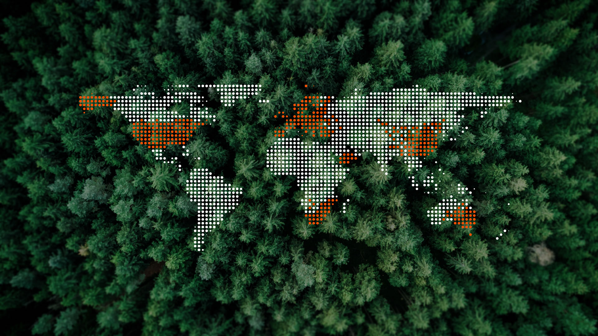 Huella de carbono cero de Aiko a nivel global